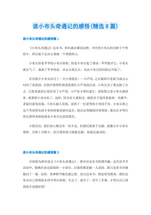 读小布头奇遇记的感悟(精选8篇)