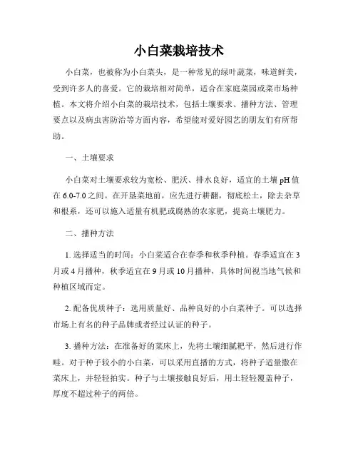 小白菜栽培技术