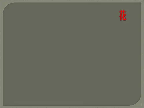 小练笔写一种我喜爱的花ppt课件