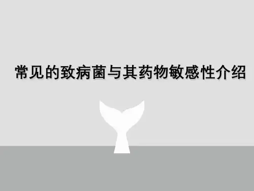 常见致病菌与其药物敏感性介绍