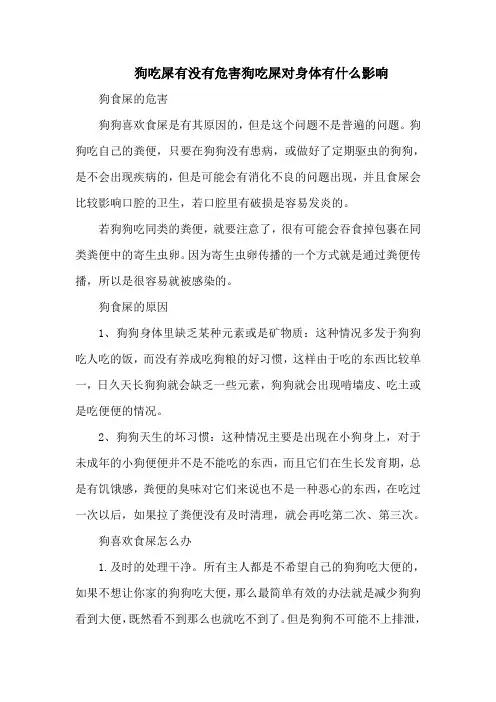 狗吃屎有没有危害狗吃屎对身体有什么影响