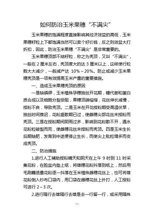 如何防治玉米果穗“不满尖”