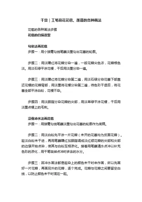 干货｜工笔荷花花苞、莲蓬的各种画法