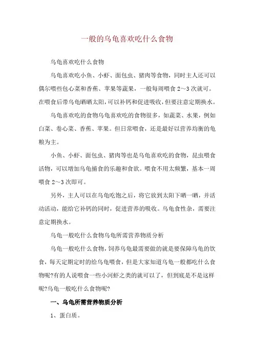 一般的乌龟喜欢吃什么食物