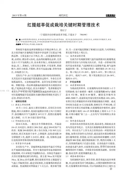 红提超早促成栽培关键时期管理技术