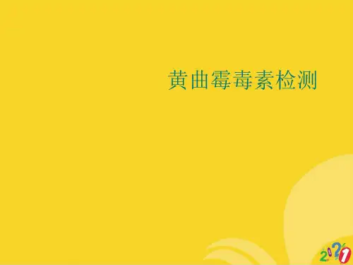 黄曲霉毒素检测标准文档ppt