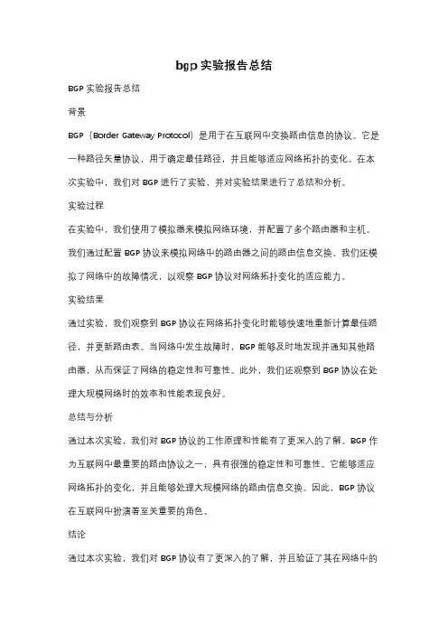 bgp实验报告总结
