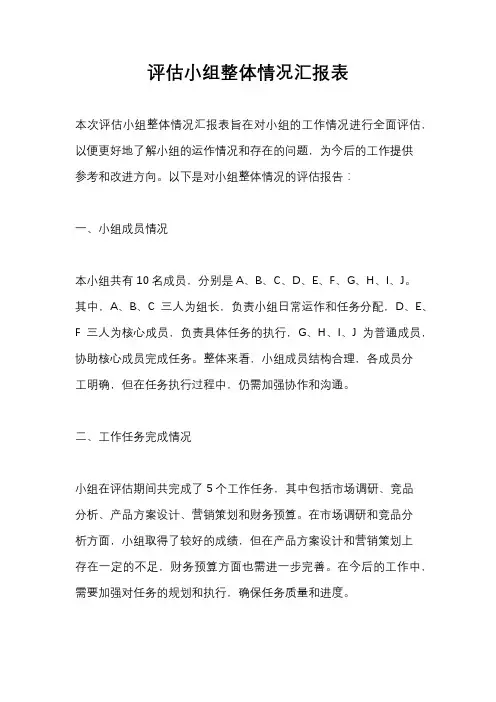 评估小组整体情况汇报表