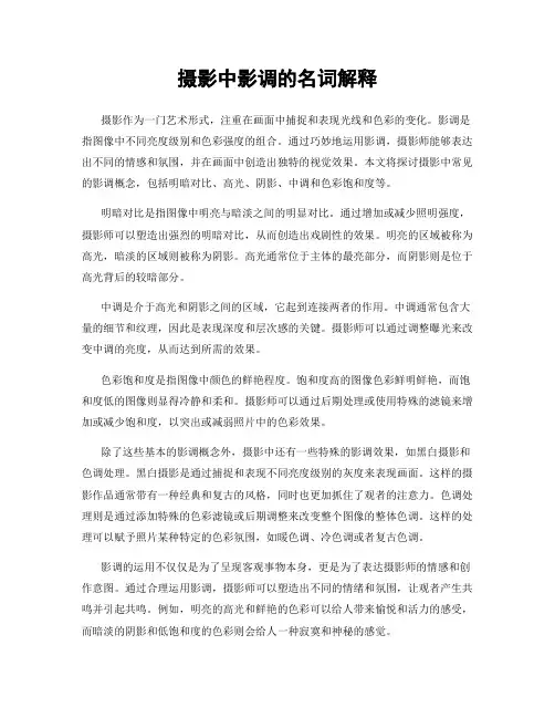 摄影中影调的名词解释