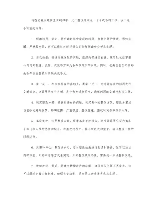 巡视发现问题自查自纠 ,举一反三整改方案