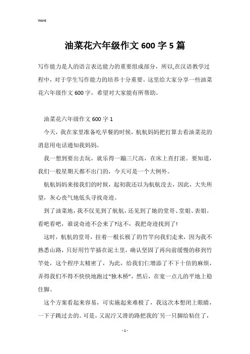 油菜花六年级作文600字5篇