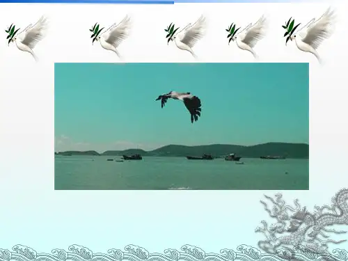 人教版初中生物课标版八年级上册第五单元第一章第六节鸟(共30张PPT)