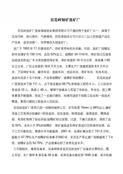 百花岭钼矿选矿厂