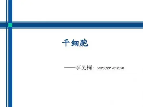干细胞及干细胞工程