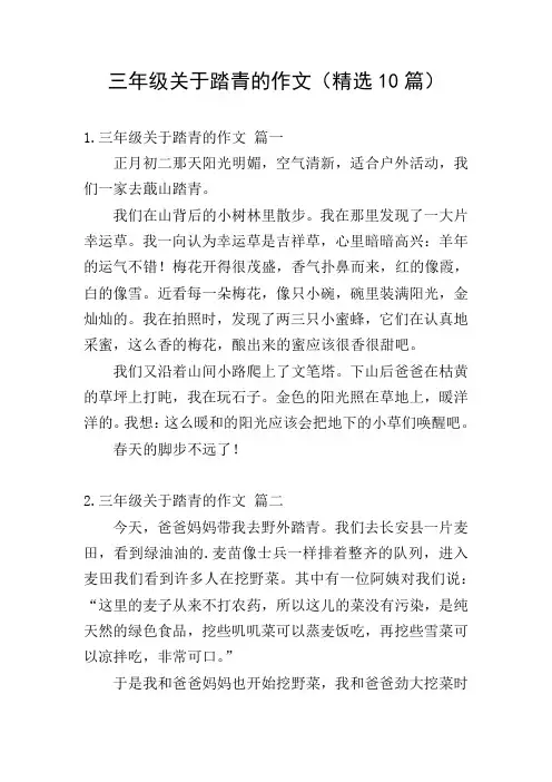 三年级关于踏青的作文(精选10篇)