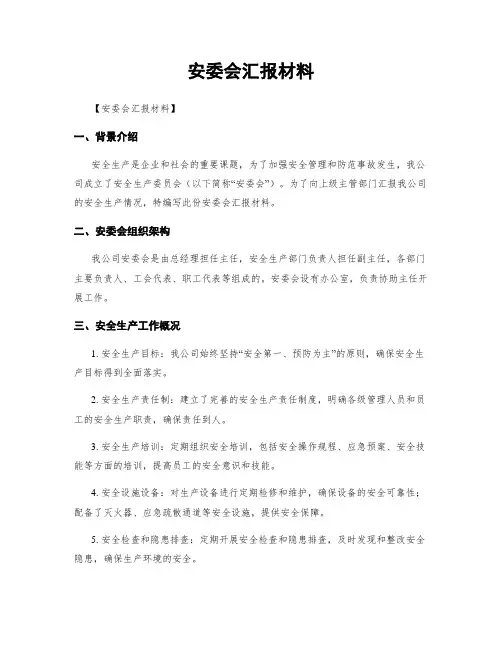 安委会汇报材料