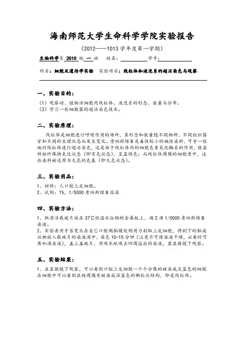 线粒体和液泡系的超活染色与观察 实验报告