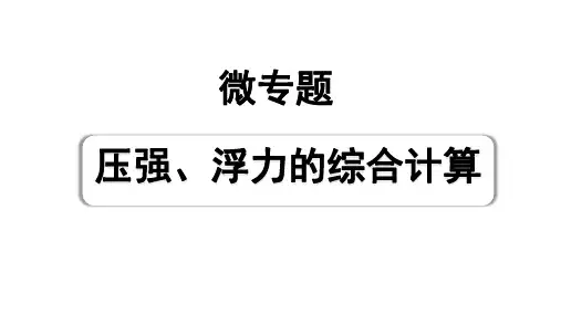 2024成都中考物理二轮专题复习 微专题 压强、浮力的综合计算 (课件)