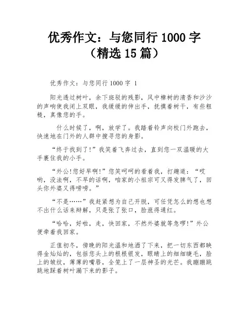 优秀作文：与您同行1000字(精选15篇)