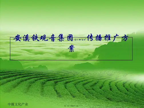 XXXX安溪铁观音传播推广方案(PPT)