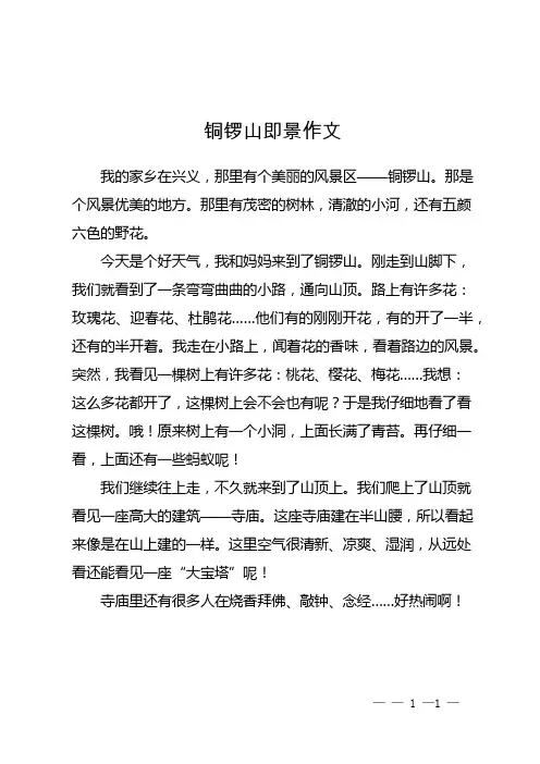 铜锣山即景作文