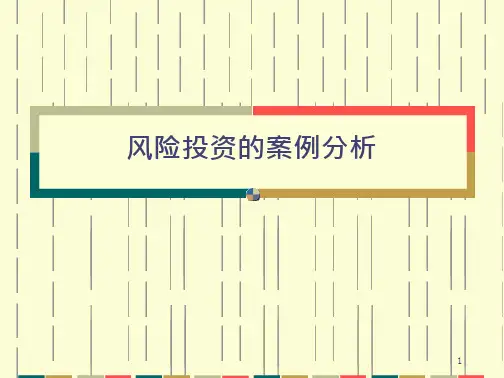 风险投资的案例分析二