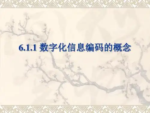 信息编码与数据表示