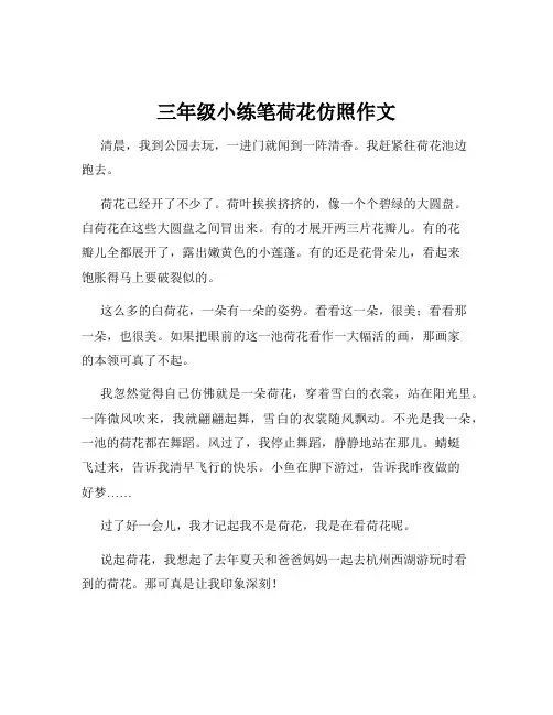 三年级小练笔荷花仿照作文