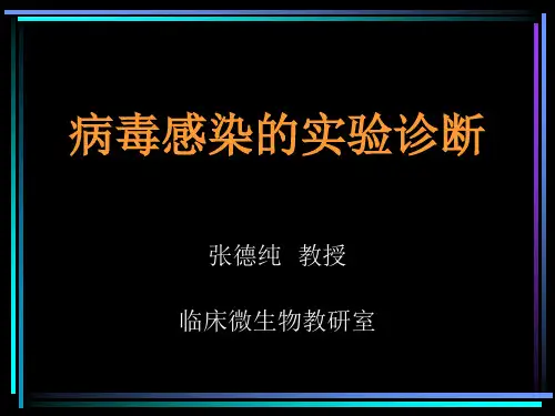 病毒感染的实验诊断PPT课件