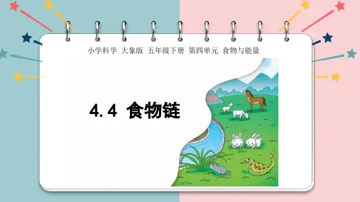 《食物链》大象科学五年级下册全文