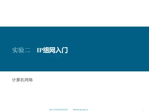 实验二 IP组网入门