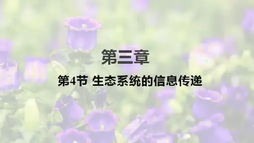 生态系统的信息传递课件高二上学期生物人教版选择性必修2