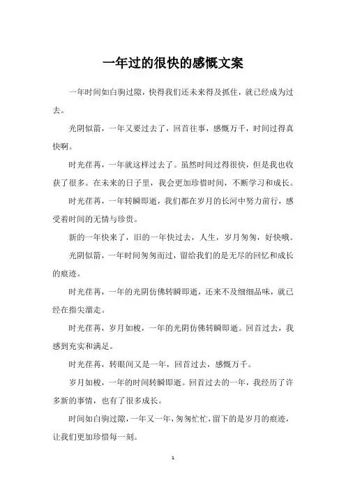一年过的很快的感慨文案
