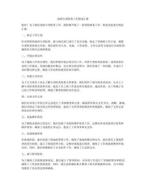 迎接专项检查工作情况汇报