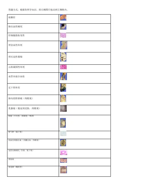 国开《病理学与病理生理学》形考作业-匹配题和病理分析题答案