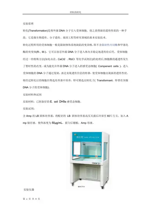 质粒的转化