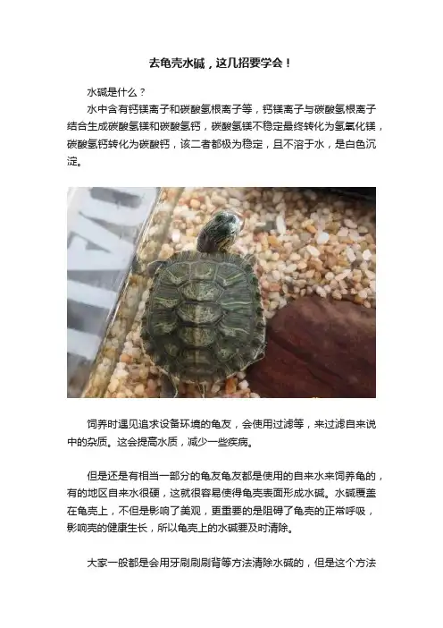 去龟壳水碱，这几招要学会！
