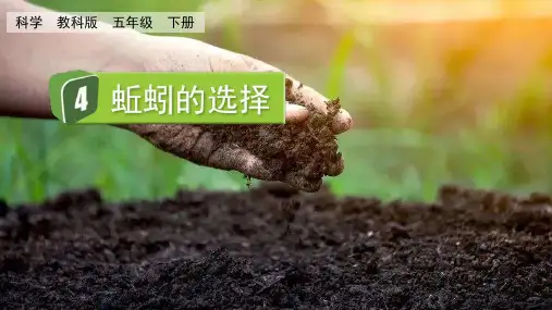 《蚯蚓的选择》PP精品课件【2024年春】