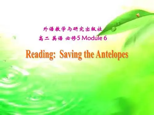 外研版高二英语必修五《Module 6 saving the antelopes》课件课件