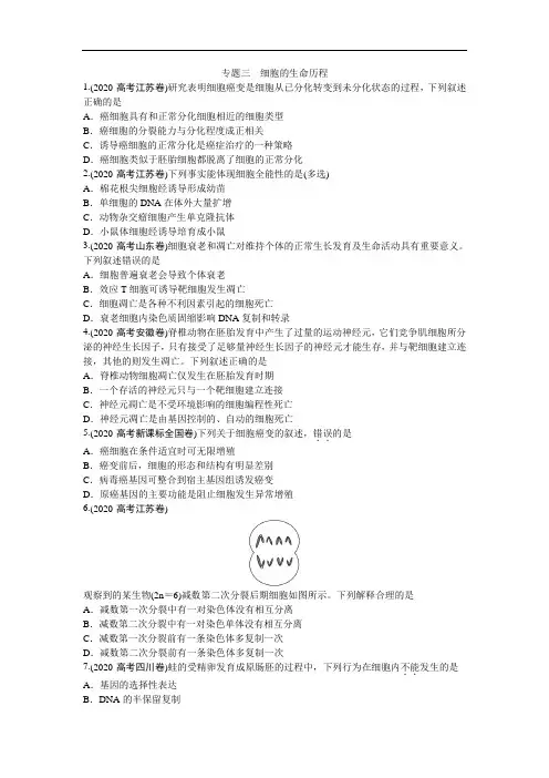 2020年高考生物考题--细胞的生命历程