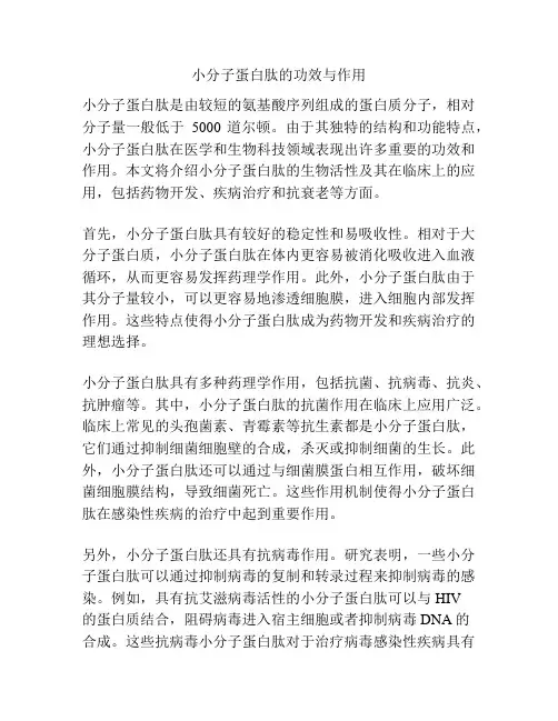 小分子蛋白肽的功效与作用