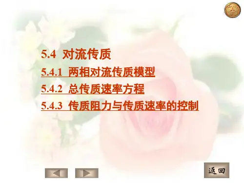 对流传质