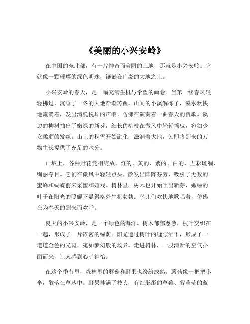 《美丽的小兴安岭》