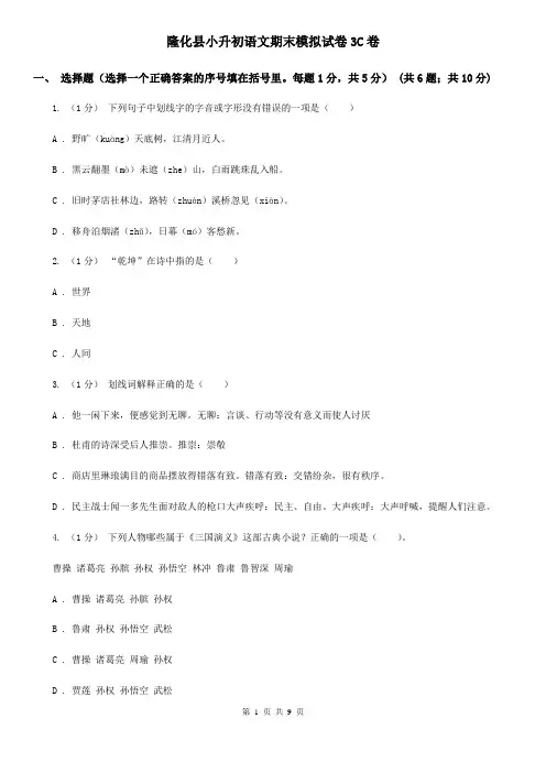 隆化县小升初语文期末模拟试卷3C卷