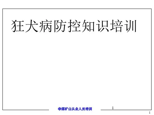 狂犬病防控知识培训课件