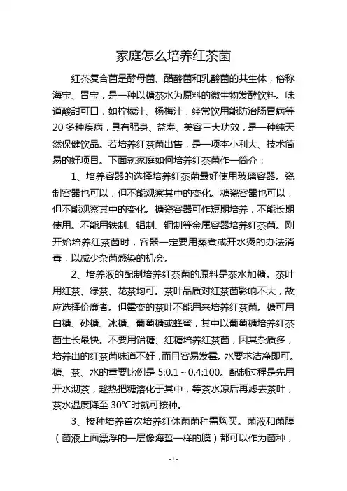 家庭怎么培养红茶菌