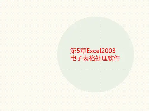 第5章Ex讲义cel2003电子表格处理软件