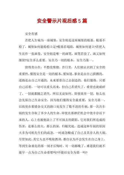安全警示片观后感5篇