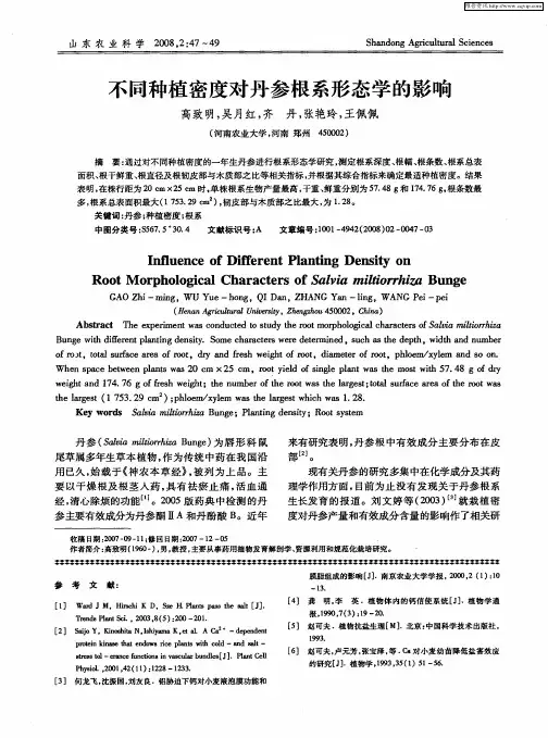 不同种植密度对丹参根系形态学的影响