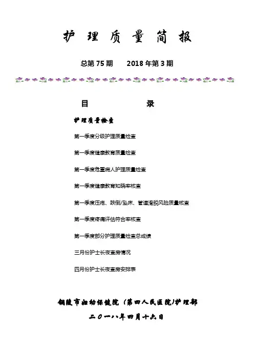 护理质量简报